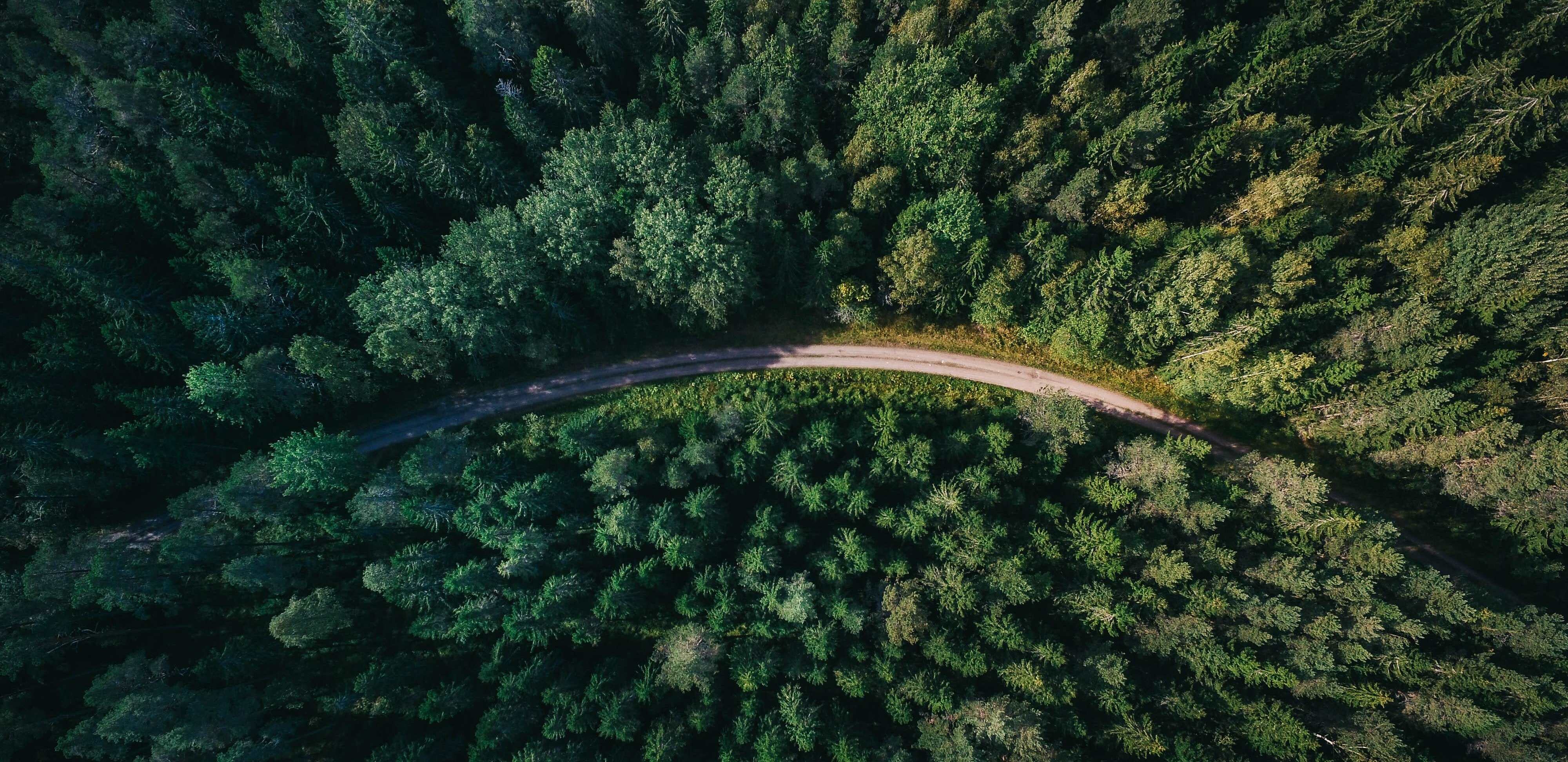 Carbon Crusher: Redefining Road Construction